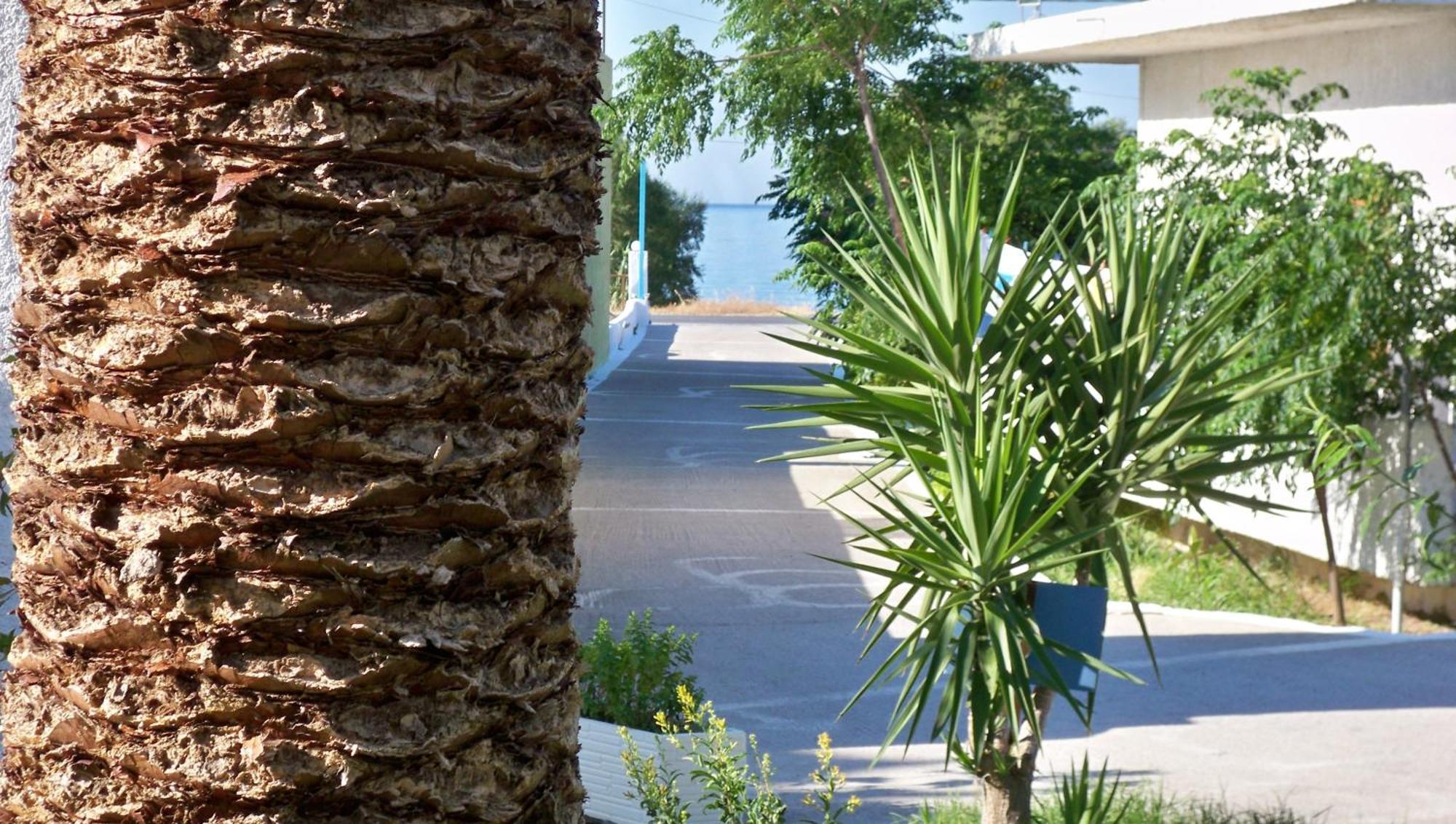 Aphrodite Samos Suites Marathokampos Exterior photo